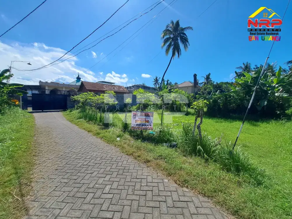 Dijual Tanah Prospek di Depan Ponpes Ternama di Ketapang - Banyuwangi