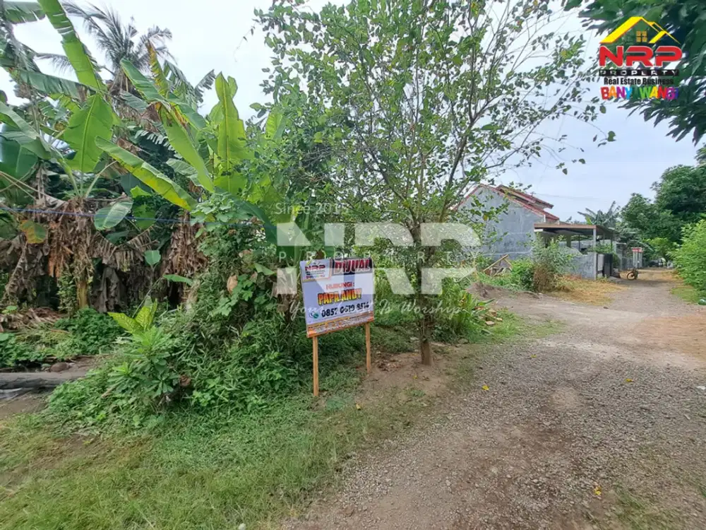 Dijual Tanah Murah 100 Jutaan di Kawasan Perumahan Sobo - Banyuwangi.