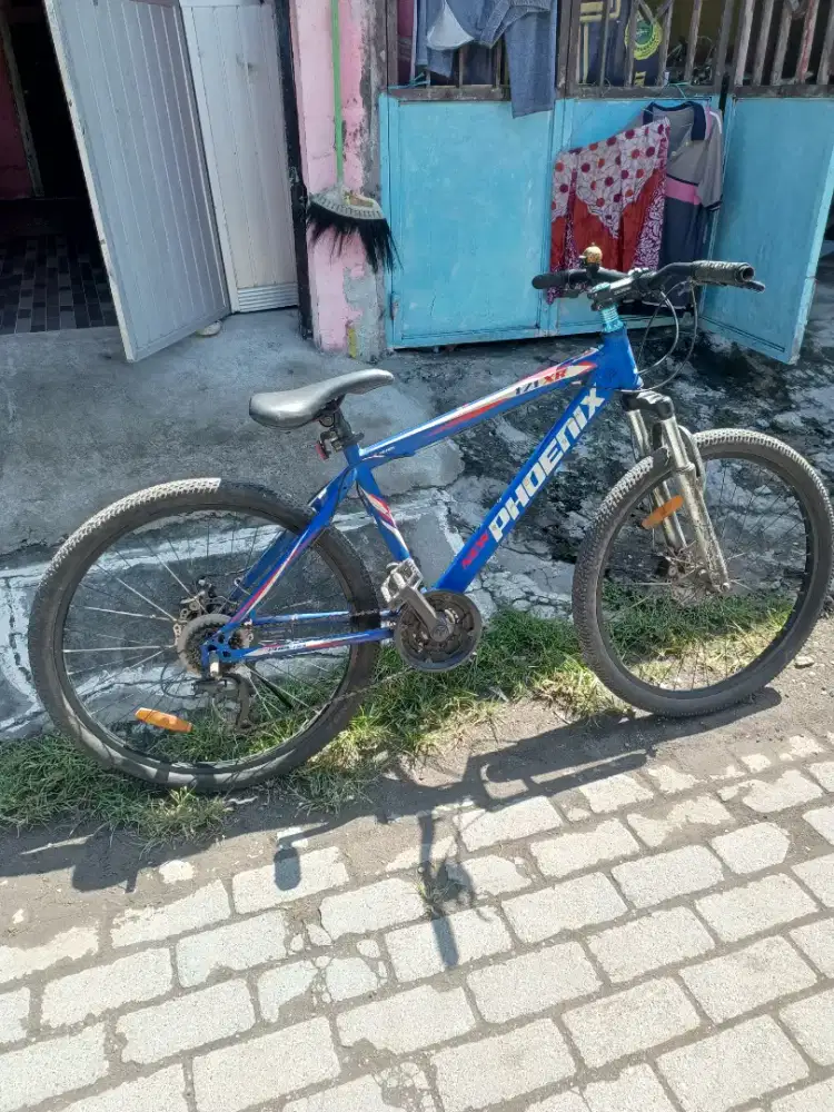Sepeda laki Phoenix