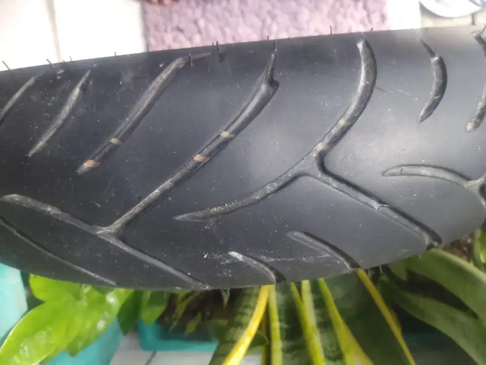 Ban Dunlop R15 120/70 Joss