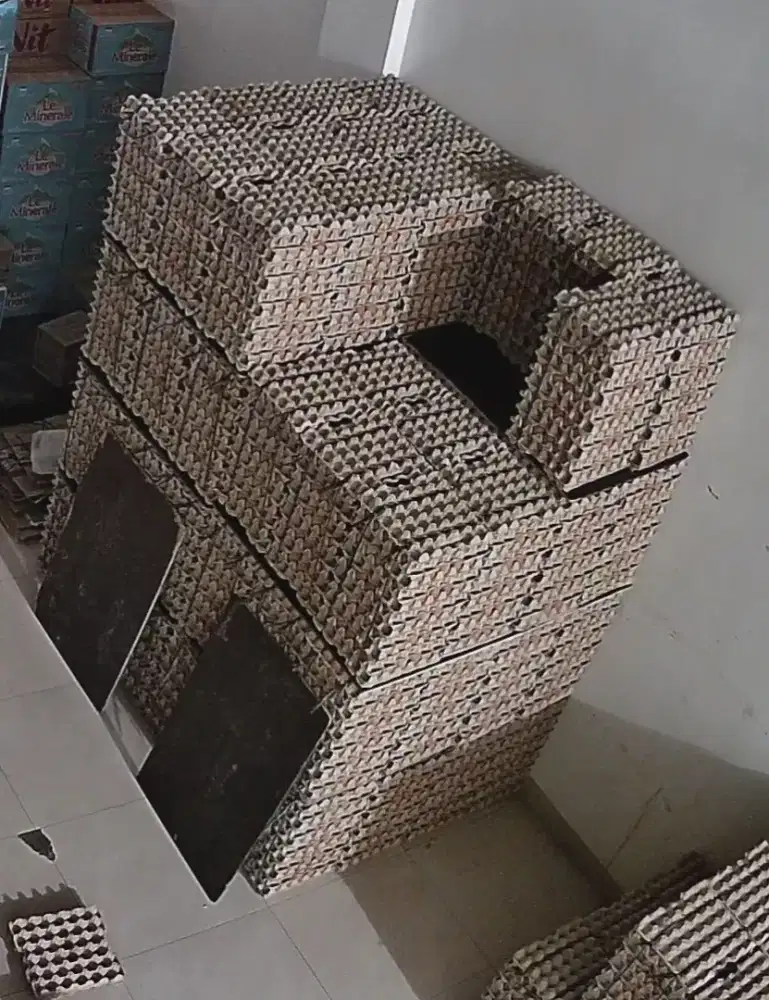 Karyawan gudang telur ayam