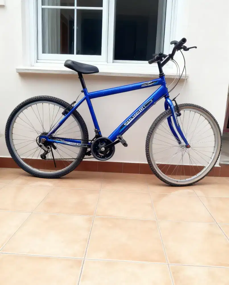 Sepeda gunung dewasa bekas