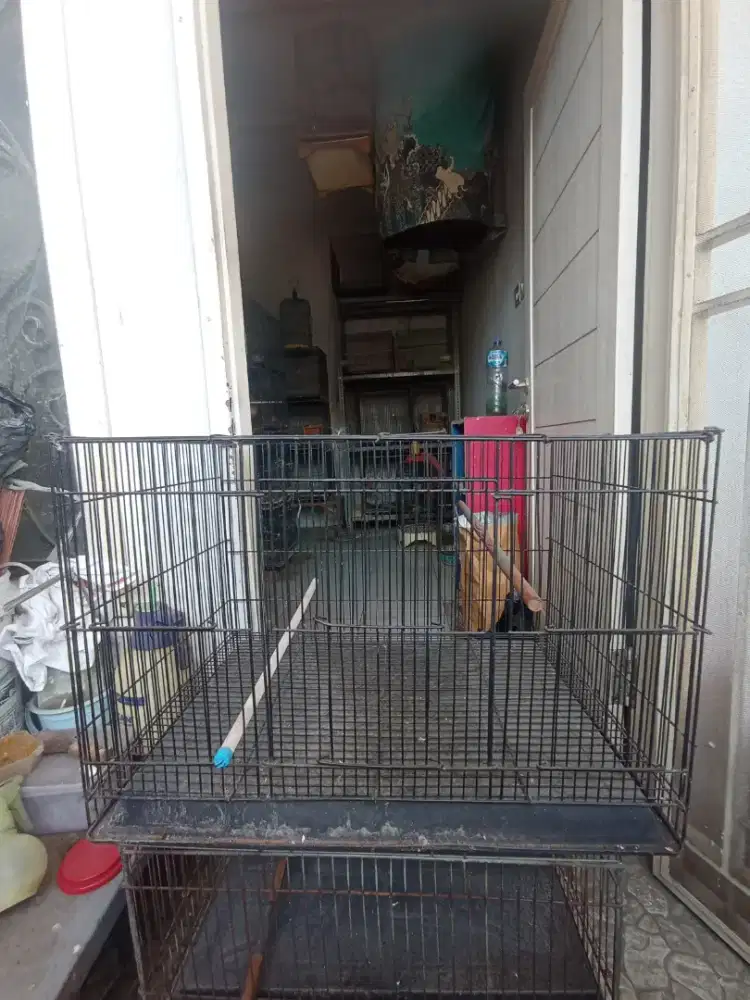 Kandang kotak besi ukuran 60 x 40