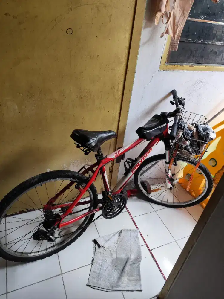 Mountain bike (MTB) Polygon 2.0 Premier BEKAS