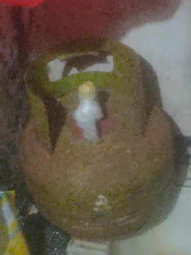 Di jual aja gas melon ada 2