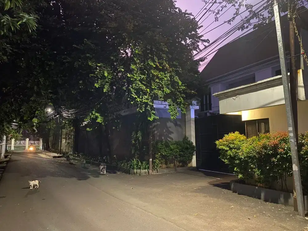 Kemang.  Rmh.  Baru.   Perlu. Flooring.  Super. Lux.