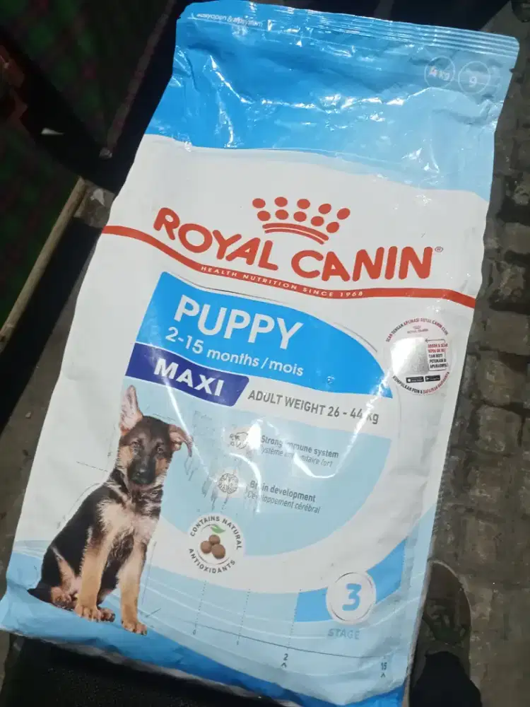 Pakan Kucing dan anjing Royal Canin