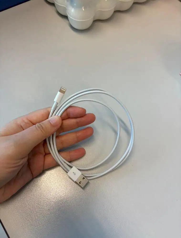Apple Ori Lightning to USB-A Cable (Iphone 13)