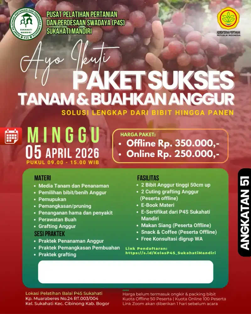 Pelatihan Budidaya Anggur Impor