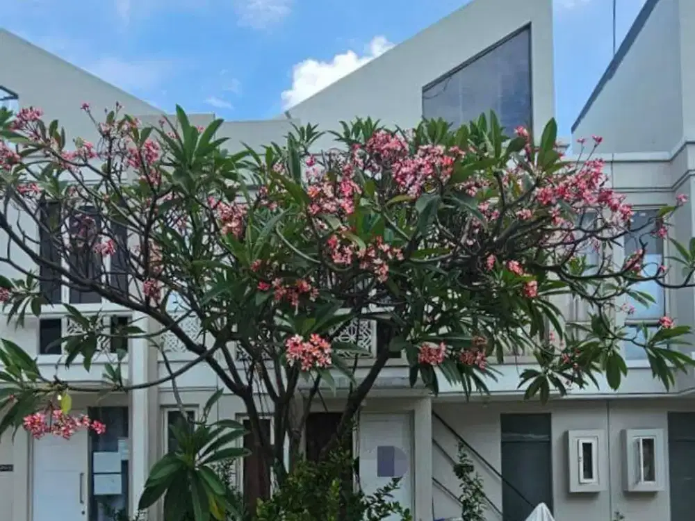 DIJUAL CEPAT MURAH RUMAH 2LT HARGA 700 JUTAAN DI GRAND PAKUWON