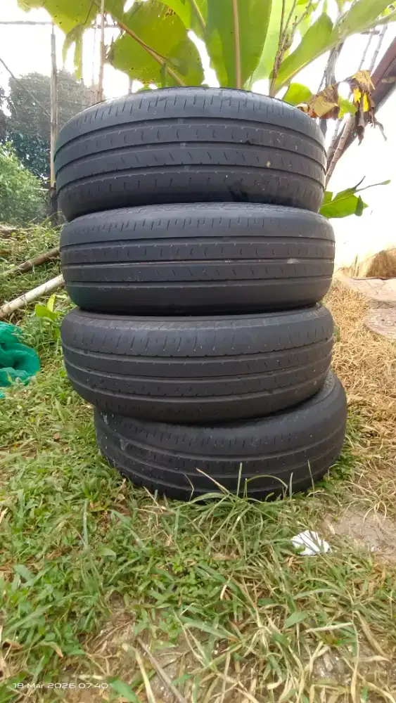 Ban Bridgestone R16 ecopia 205/65