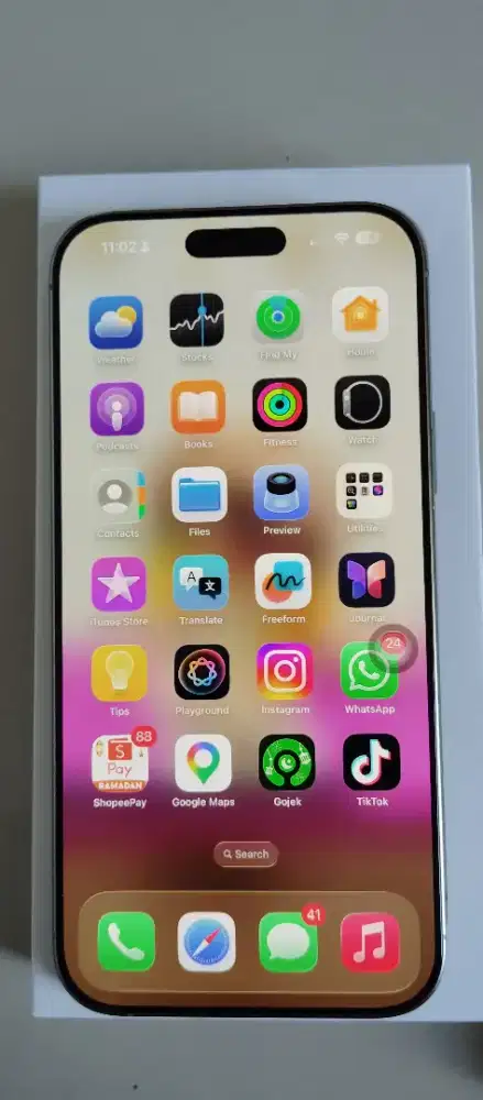 Iphone 16 promax 256 mulus