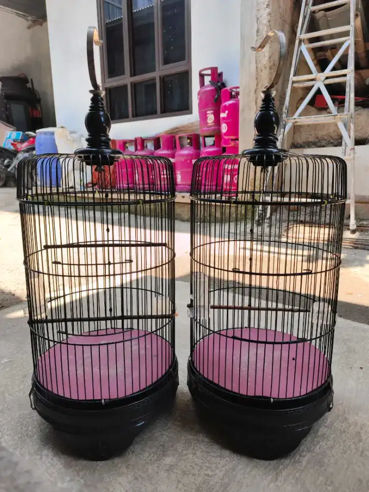 Kandang burung masih kokoh