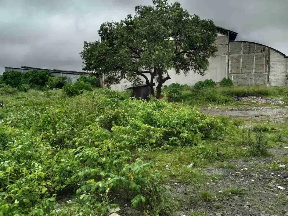 Dijual Tanah Padat Komersil Cocok Untuk Usaha