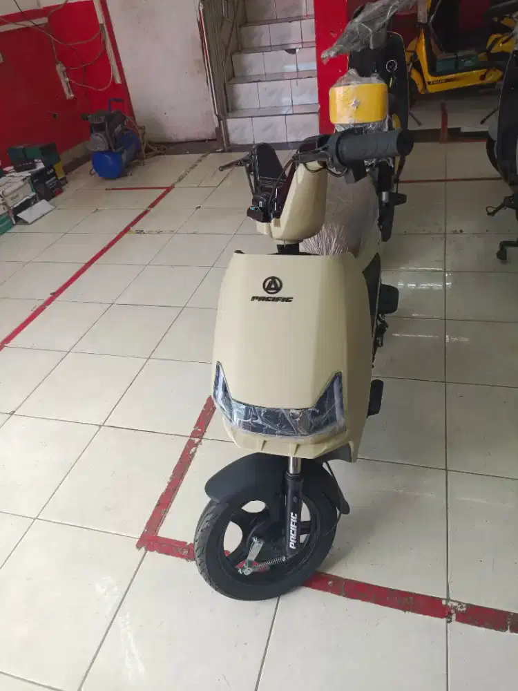 Sepeda Listrik Zeckrom300