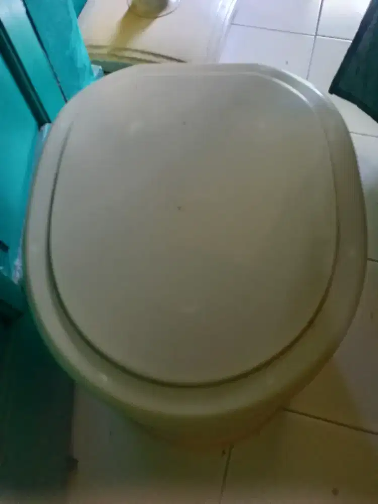 Toilet portable