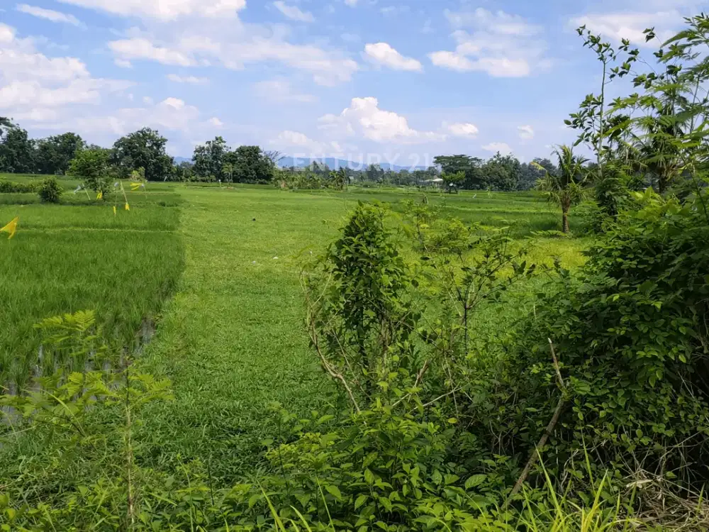 Tanah LD 16m Di Banguntapan Cocok Untuk Bisnis Usaha Kuliner