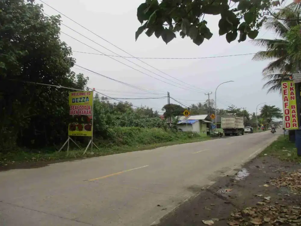 Tanah labuhan serang banten lt 2000 murah jual cepat