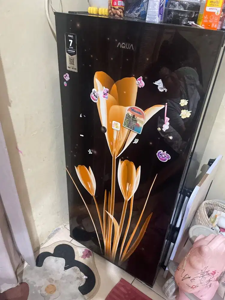 Kulkas aqua 1 pintu