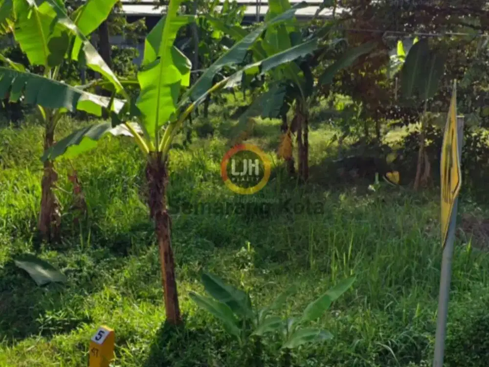 Kavling Jalan Singorojo - Boja