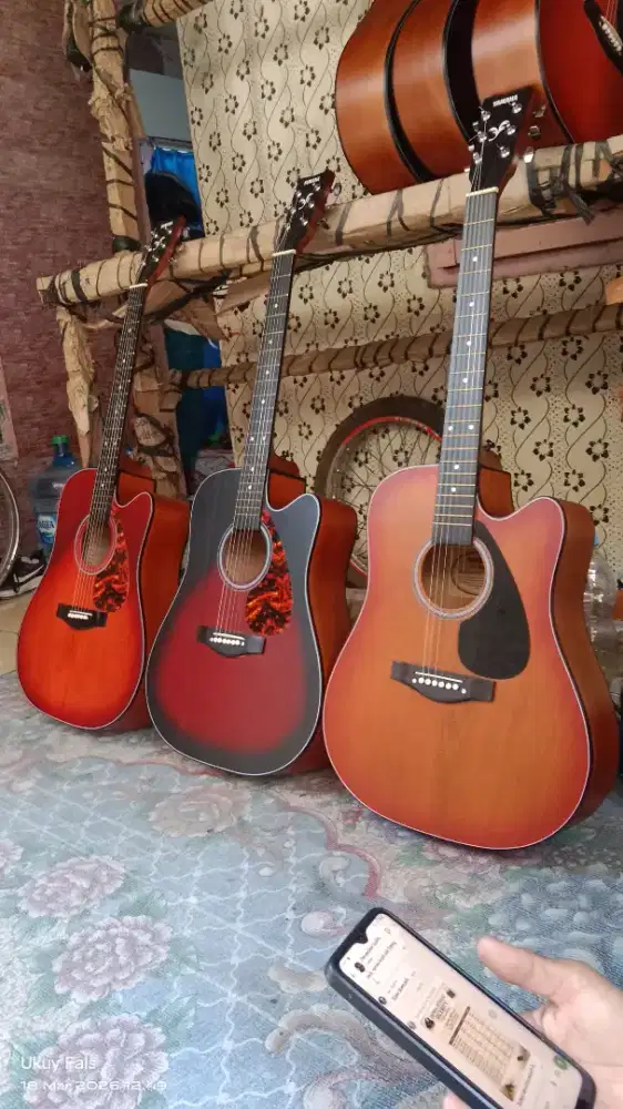 Gitar akustik F-310