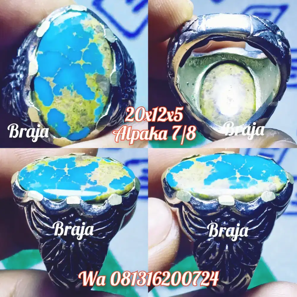 Pirus persia urat emas