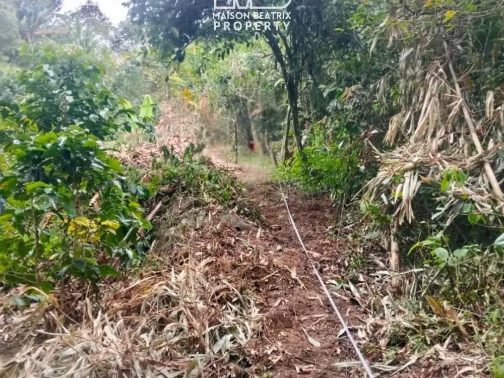 DIJUAL TANAH LUAS 3,9 Ha COCOK UNTUK RESORT / VILLA / WISATA ALAM - SIBOLANGIT - DELI SERDANG