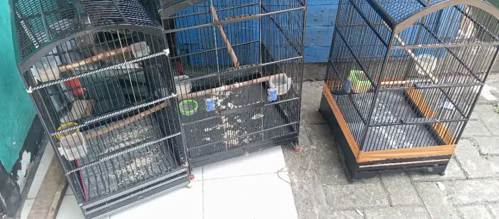 Jual borongan kandang burung