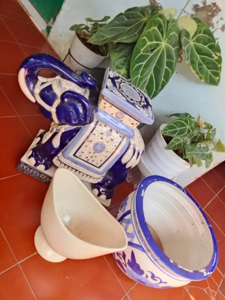 Jual pot buat pajangan masih bagus semuanya