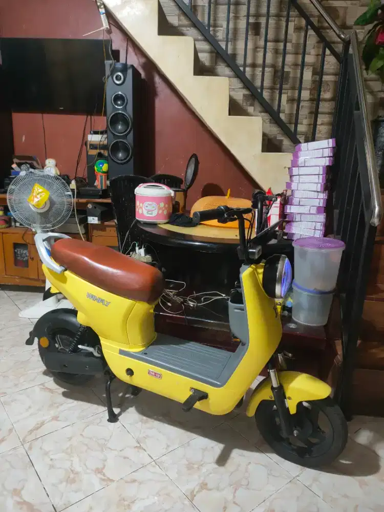 Sepeda listrik uwinfly