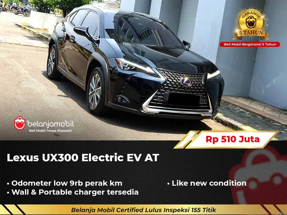 [ LOW KM 9RB ] Lexus UX300 UX 300 Electric EV AT 2022/2023