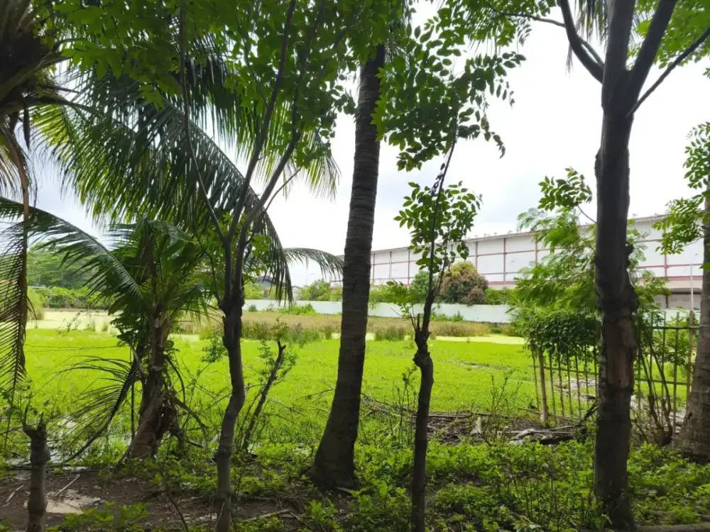 Dijual Tanah di Cakung seluas 5.548meter