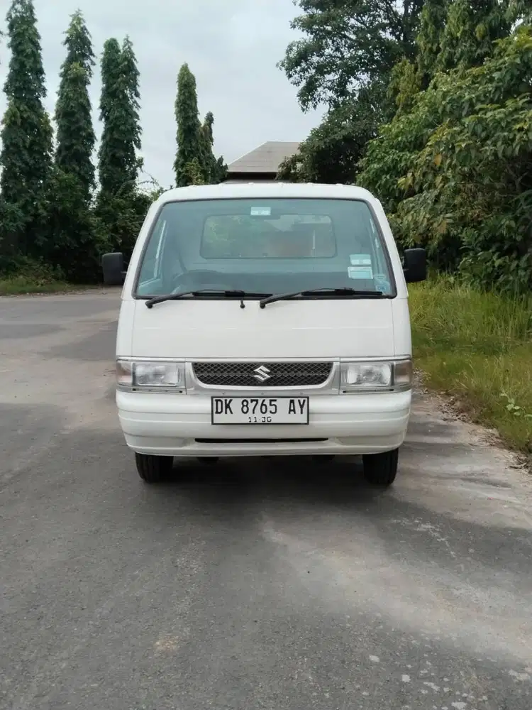 Pick Up Futura 2013 (BUC)