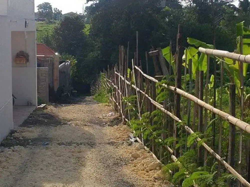 Tanah Cantik 25 Are Disewakan, di Area Premium Pererenan, Canggu
