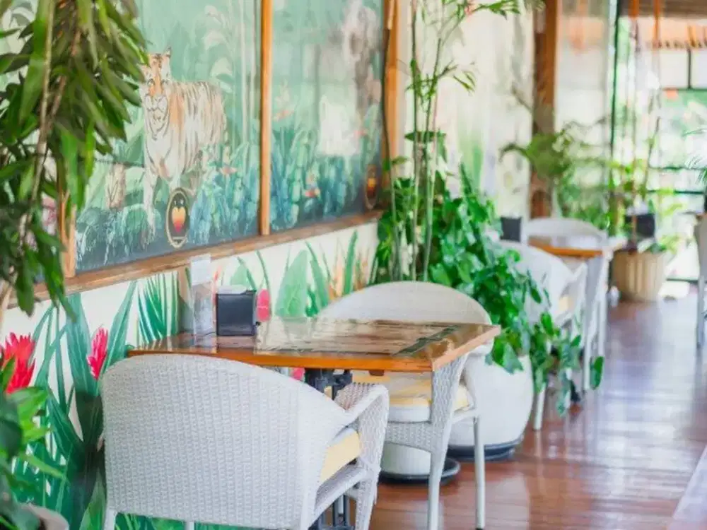 Over Kontrak Restoran Premium di Berawa, Canggu Area