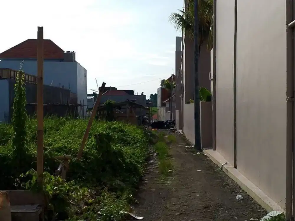 Tanah 5 Are Akses Jalan Bagus Disewakan, di Area Pererenan Badung
