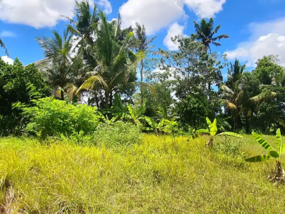 DIJUAL TANAH HOOK DI GIANYAR