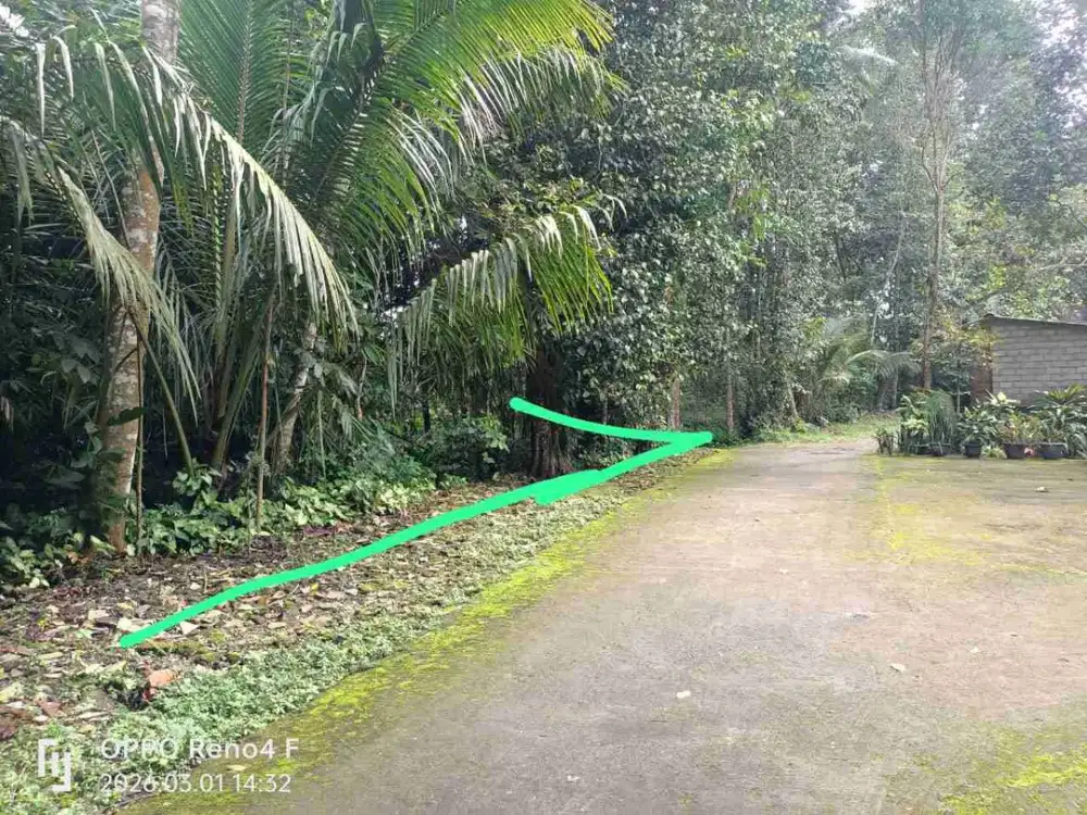 TANAH DIJUAL LUAS DAN MURAH  dekat Pasar surowono klaten