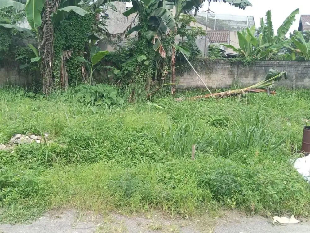 DIJUAL CEPAT 2 KAVLING GANDENG DI DALAM KOMPLEK PERUMAHAN CIBINONG KAB. BOGOR