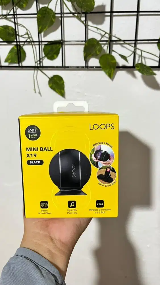 speaker mini ball loops