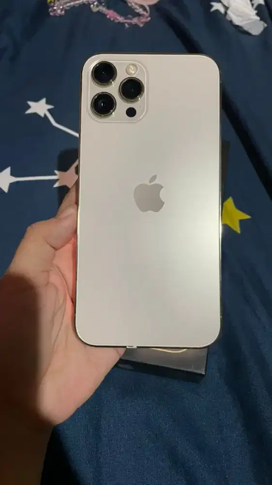 IPHONE 12PM 128GB INTER BEA CUKAI