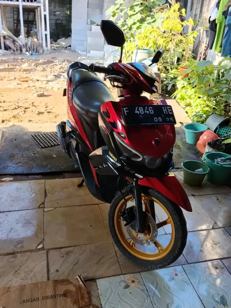 Xeon gt 125 lengkap mesin cvt halus