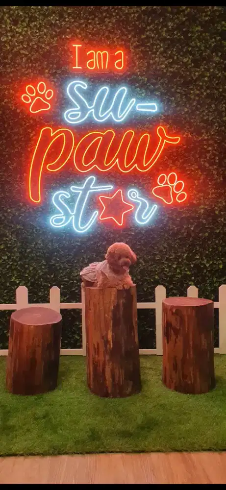 Loker groomer gading serpong