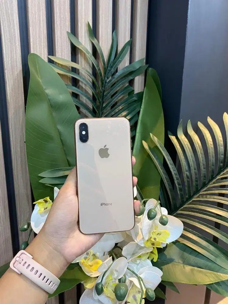 sec inter xs 256GB gold