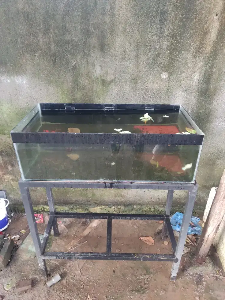 Aquarium p90xL40xT25 & rak besi