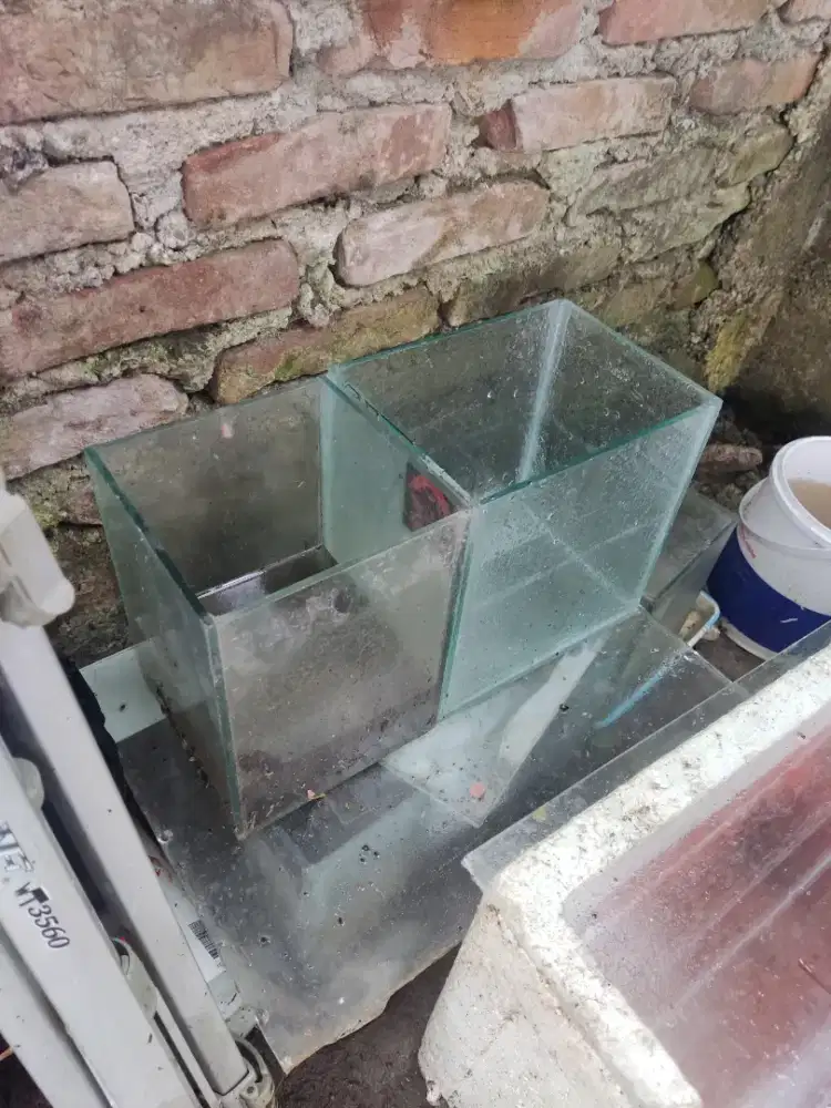 Aquarium kecil.ada 4 biji