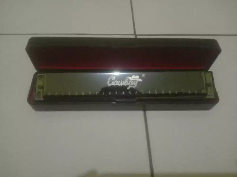 harmonika cowboy