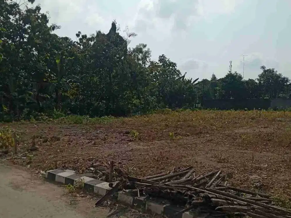 tanah Utara puskesmas Masaran 1 Sragen