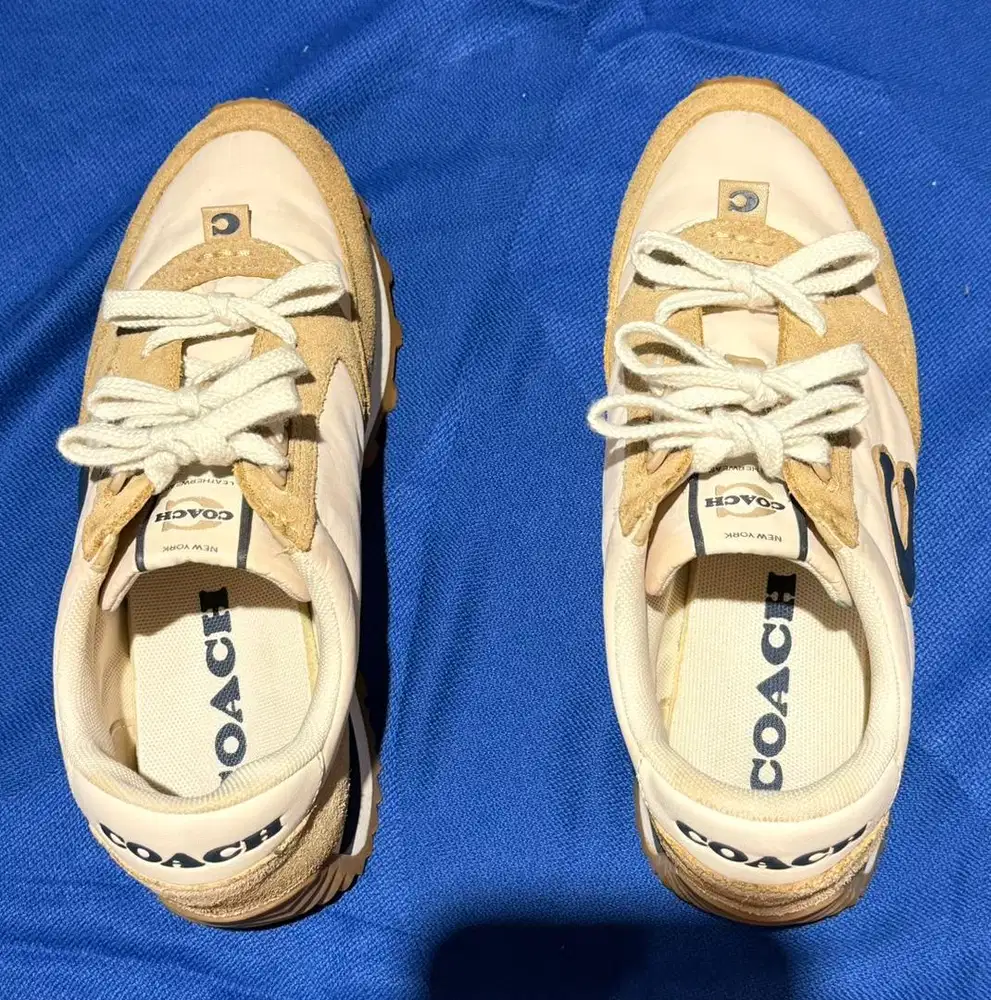 Coach Runner Sneaker In Chalk Oat Cl219