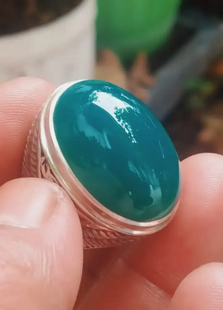 bacan dim.27.19.11.est